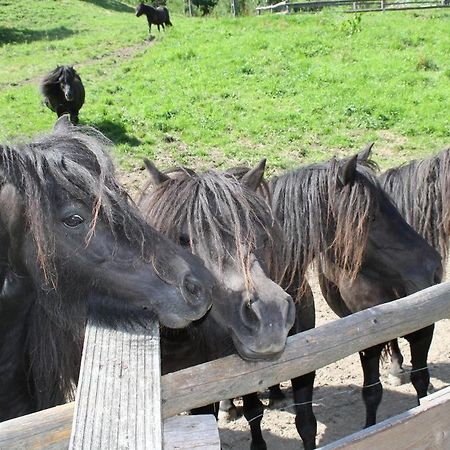 Rezydencja Lesny Dwor Piwniczna-Zdroj Eksteriør billede